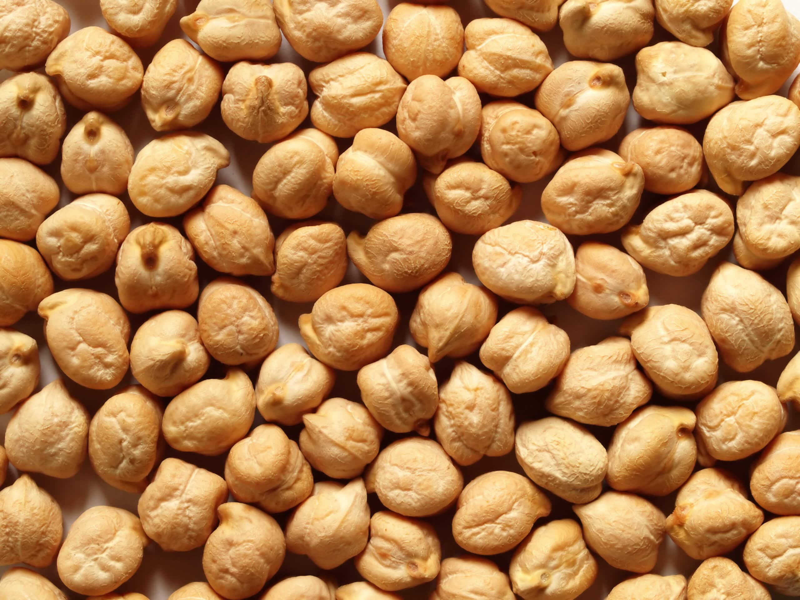 Proceso de empaque y exportación de garbanzo